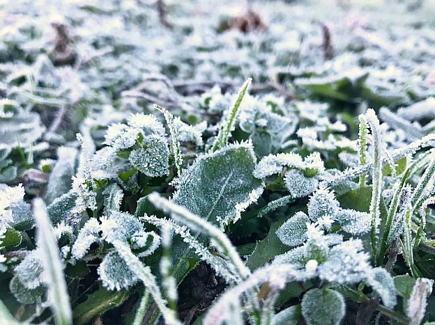 ❄️Уночі 12 та 13 квітня в Києві очікуються заморозки в повітріII рівень небезпечності, помаранчевий.🌱В Укргідрометцентрі поп... - КМДА – офіційний канал on we.ua