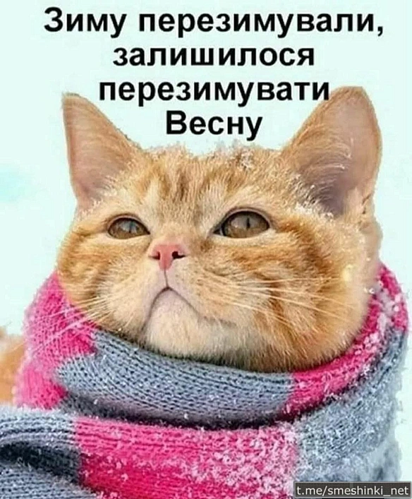 Переглянути нові  |  Надіслати своє - Воєнні Смішинки на we.ua