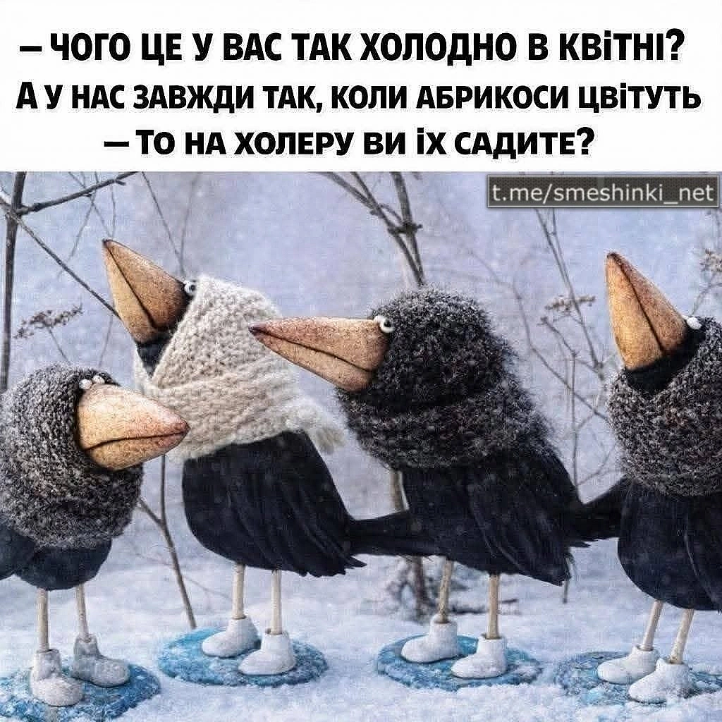 Переглянути нові  |  Надіслати своє - Воєнні Смішинки на we.ua