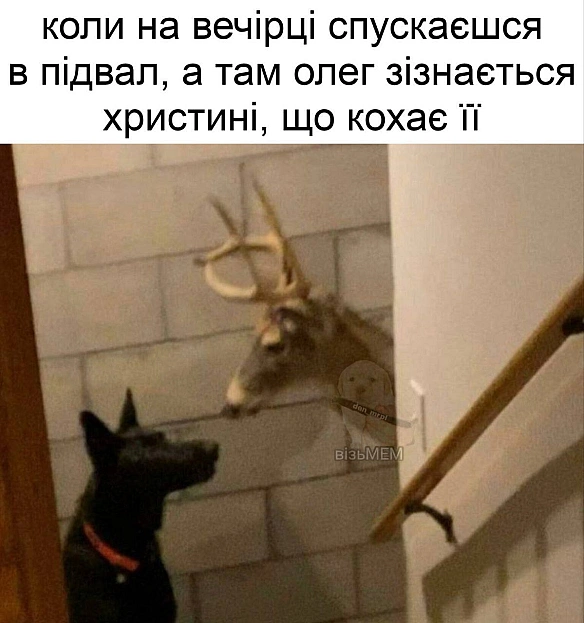 Добраніч!@memargam - МЕМАГРАМ на we.ua