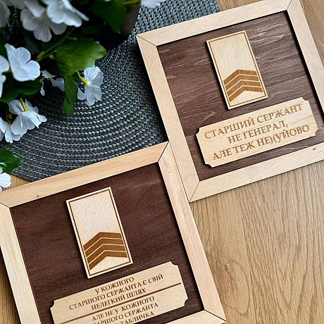 Зібрав для вас всі таблички для сержантів, які зараз є у наявності.Замовити можна вже!Вартість таблички 410 грнДля замовле... - стандарти хотівших в НАТО на we.ua