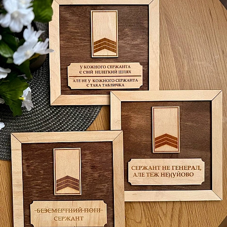 Зібрав для вас всі таблички для сержантів, які зараз є у наявності.Замовити можна вже!Вартість таблички 410 грнДля замовле... - стандарти хотівших в НАТО на we.ua