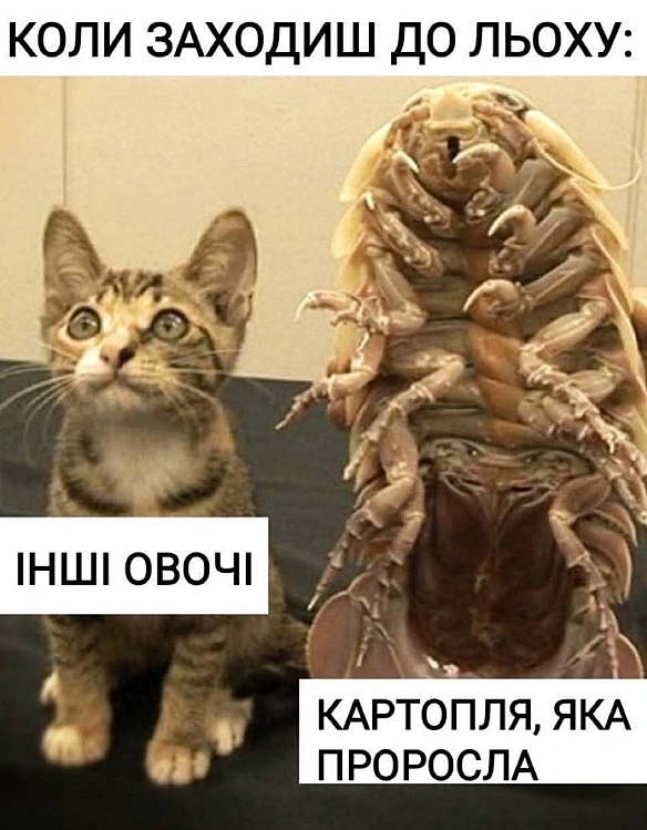 Чорний гумор. Українською. #ЧГУ на we.ua