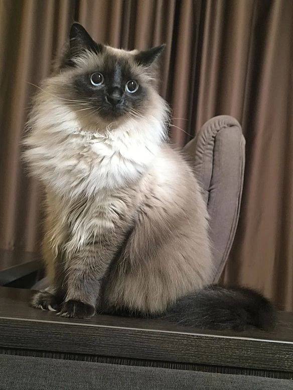 Міф - Давай займемось текстом на we.ua