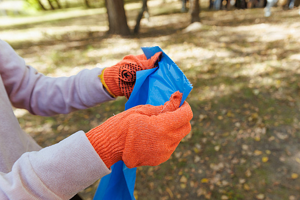 🌿18 квітня в Києві відбудеться загальноміська толока – долучитися можна на 40 локаціяхСтарт – о 10:00.Що потрібно:▫️вибрати... - КМДА – офіційний канал на we.ua