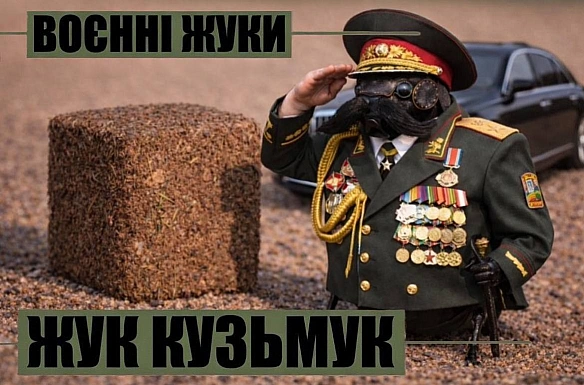 Друзі!Коли робив перше відео воєнних жуків, то мав задачу мінімум: 100 підписників на ютубі. Інакше наступне я б не робив😅😅😅.А... - стандарти хотівших в НАТО на we.ua