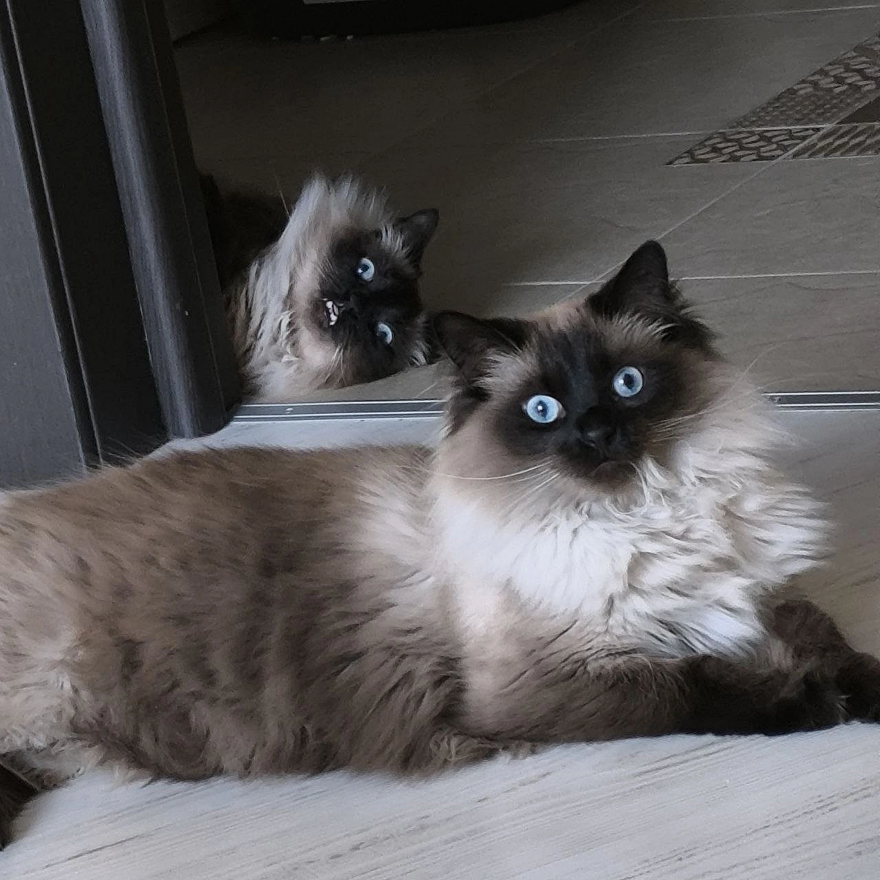 Як запороти фотку братові - on we.ua