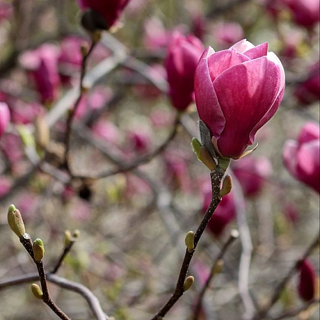 Репортер інформує on we.ua