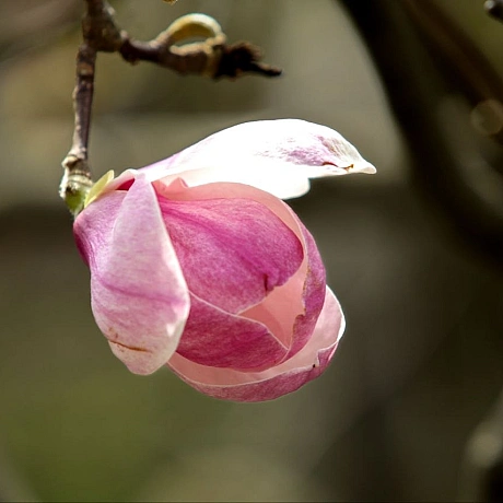 Репортер інформує on we.ua