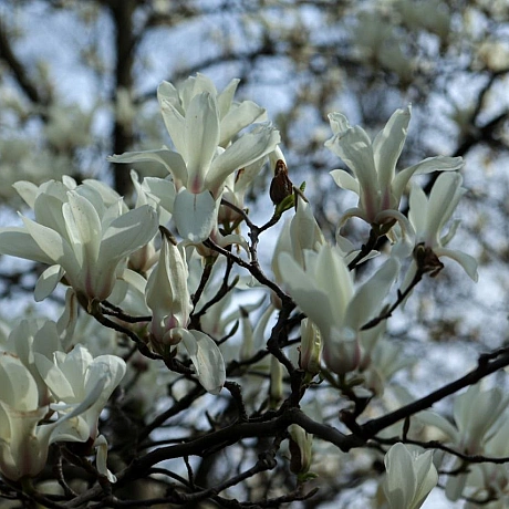 Репортер інформує on we.ua