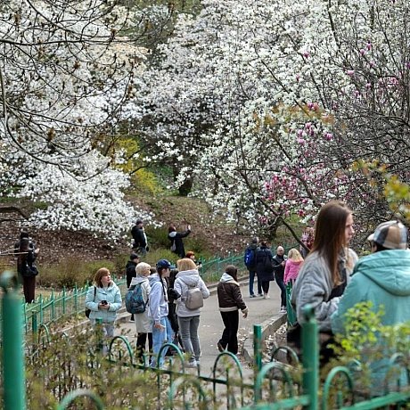 Репортер інформує on we.ua