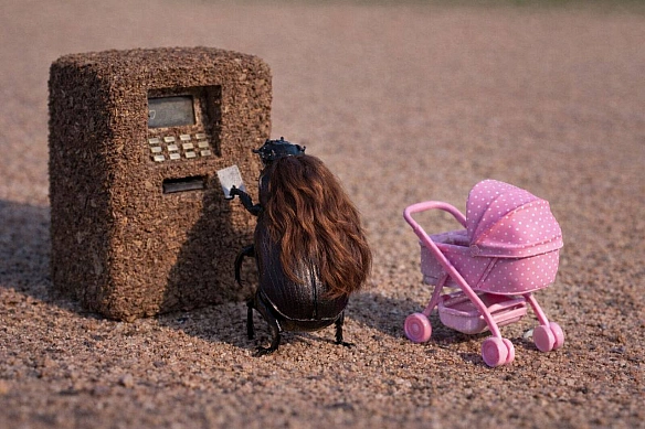 Друзі!Прямо зараз готую новий ролик про воєнних жуків. Цього разу буде про грошове забезпечення жуків😅😢.Епізод буде потужн... - стандарти хотівших в НАТО на we.ua