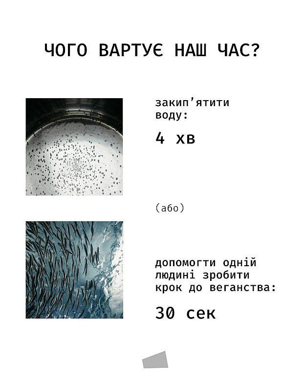 Іноді найважливіші речі займають найменше часу.Підписка на monobase — це 30 секунд, які допомагають нам щотижня відправляти ве... - Кожна тварина на we.ua