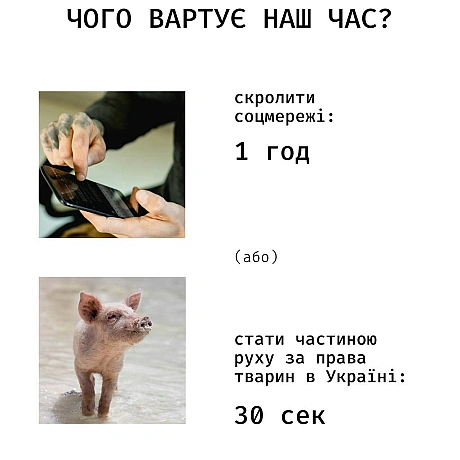 Іноді найважливіші речі займають найменше часу.Підписка на monobase — це 30 секунд, які допомагають нам щотижня відправляти ве... - Кожна тварина on we.ua