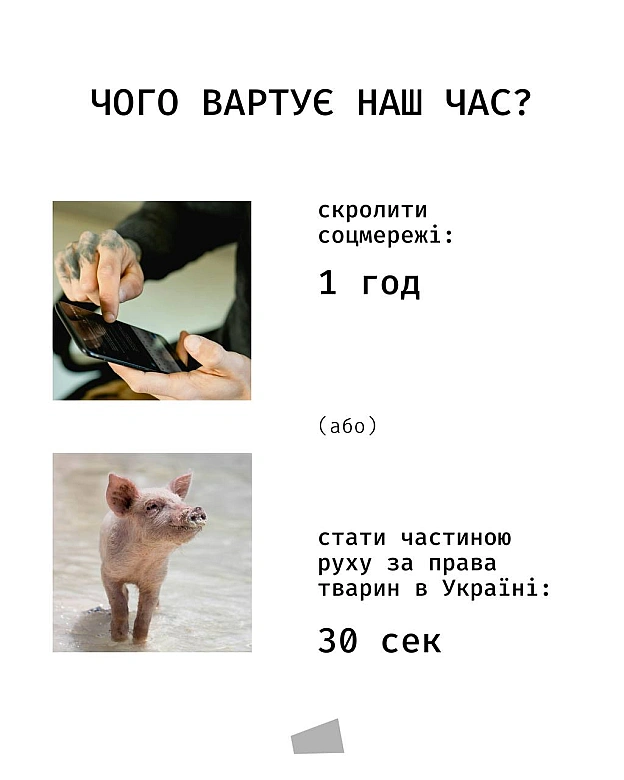 Іноді найважливіші речі займають найменше часу.Підписка на monobase — це 30 секунд, які допомагають нам щотижня відправляти ве... - Кожна тварина на we.ua