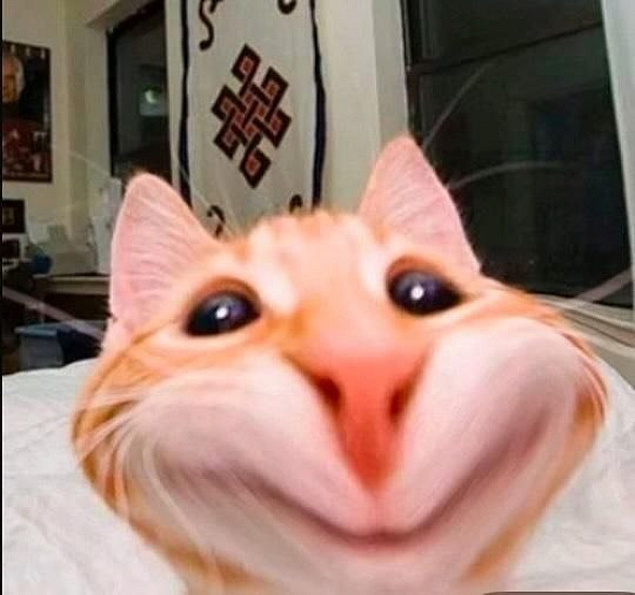 ​​ГОМІН — канал з мемами та повсякденним гумором 😄Рандомні приколи, життєві моменти і просто щось смішне в стрічку👉 Перейти ... - Ukrmemes mine problemes на we.ua