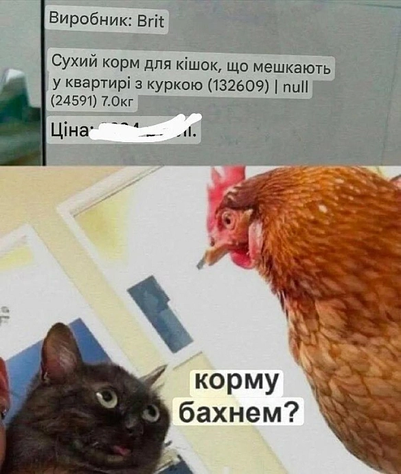 на we.ua