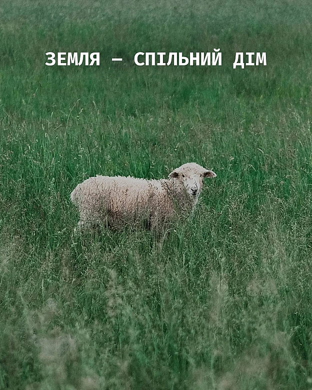 Сьогодні — День Землі. І Земля належить не лише нам.Вівці, вовки, олені, кити, кури, корови, свині — вони з'явились на цій пла... - Кожна тварина на we.ua