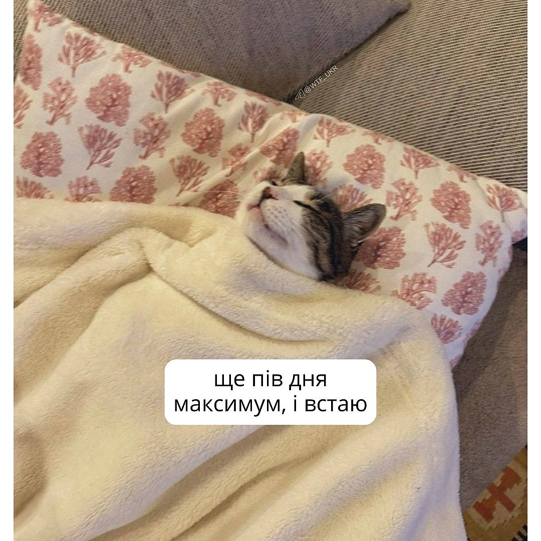 💀TG | X | FB | Instahttps://instagram.com/wtf_ukr/ - на we.ua