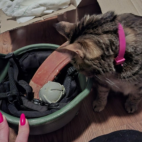 Марта інспектує отримані артефакти. Якщо перевірку буде пройдено, ця каска перетвориться на дещо цікаве. Далі буде... - на we.ua