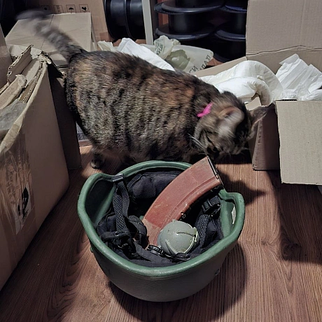 Марта інспектує отримані артефакти. Якщо перевірку буде пройдено, ця каска перетвориться на дещо цікаве. Далі буде... - на we.ua