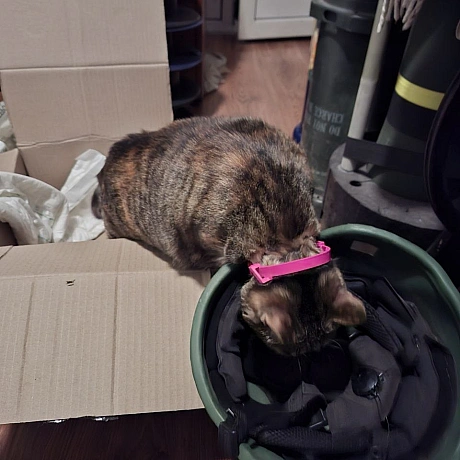 Марта інспектує отримані артефакти. Якщо перевірку буде пройдено, ця каска перетвориться на дещо цікаве. Далі буде... - на we.ua