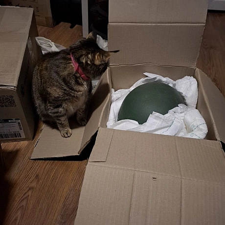 Марта інспектує отримані артефакти. Якщо перевірку буде пройдено, ця каска перетвориться на дещо цікаве. Далі буде... - на we.ua