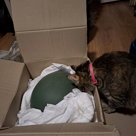 Марта інспектує отримані артефакти. Якщо перевірку буде пройдено, ця каска перетвориться на дещо цікаве. Далі буде... - на we.ua