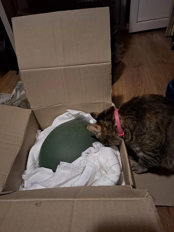 ДрукАрмія на we.ua