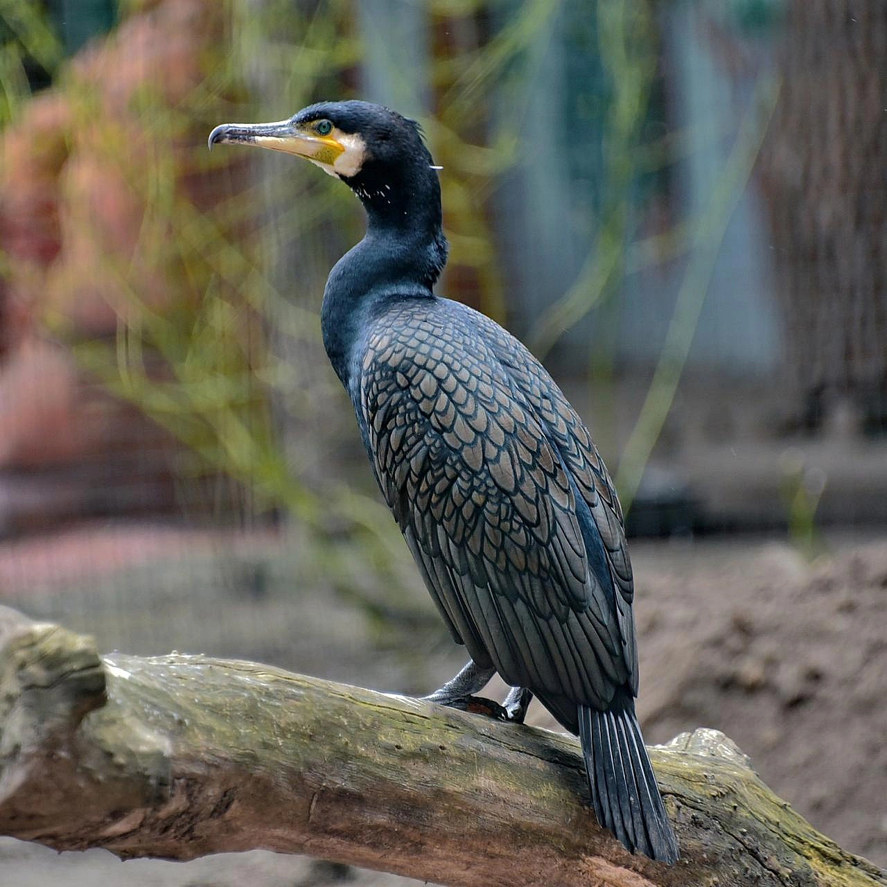 КМДА – офіційний канал on we.ua