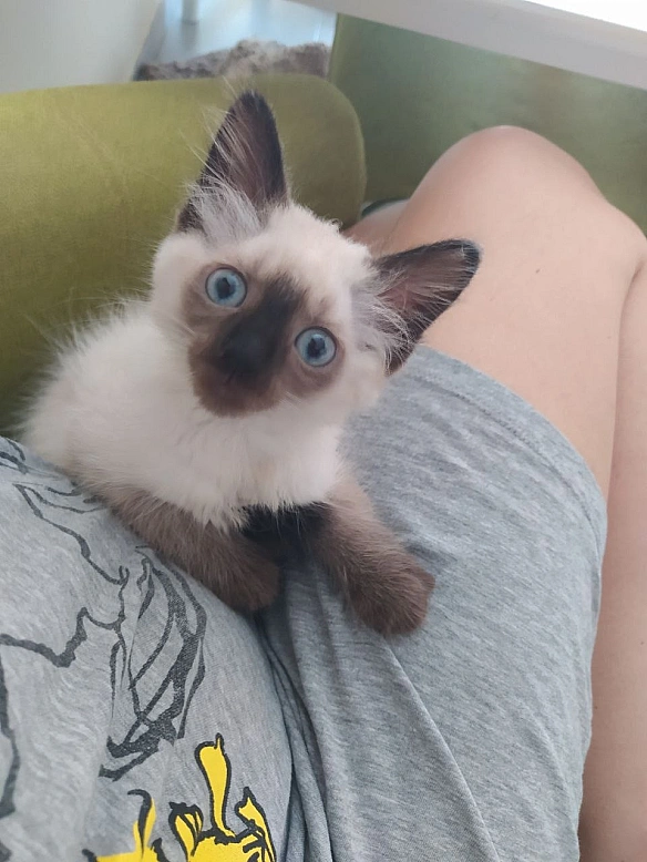 Коли директор був маленьким - Давай займемось текстом на we.ua