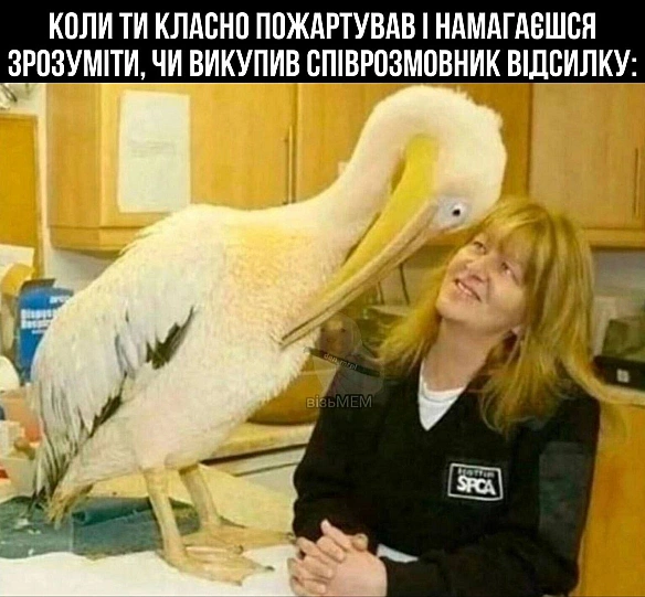 Хто з вас?#хзчиймем@memargam - на we.ua