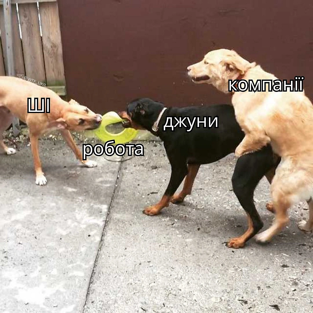 Викотили дослідження: ШІ частіше юзають сеньйори 30 із жирними чеками, бо він не замінює мізки, а масштабує їх. ~60% профі з ви... - WTF! на we.ua