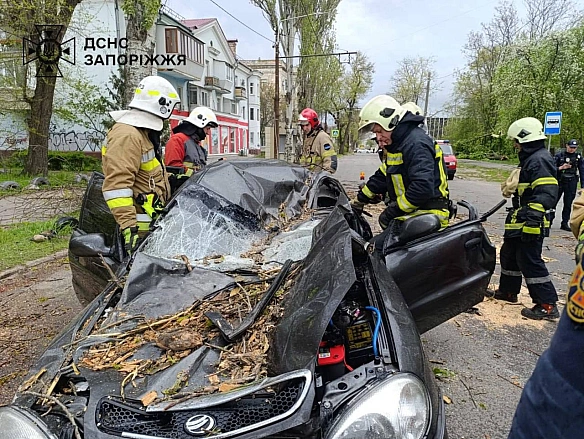 39-річний чоловік загинув через негоду в ЗапоріжжіЧерез сильні пориви вітру дерево впало на легковий автомобіль, у якому він п... - UkraineNow on we.ua