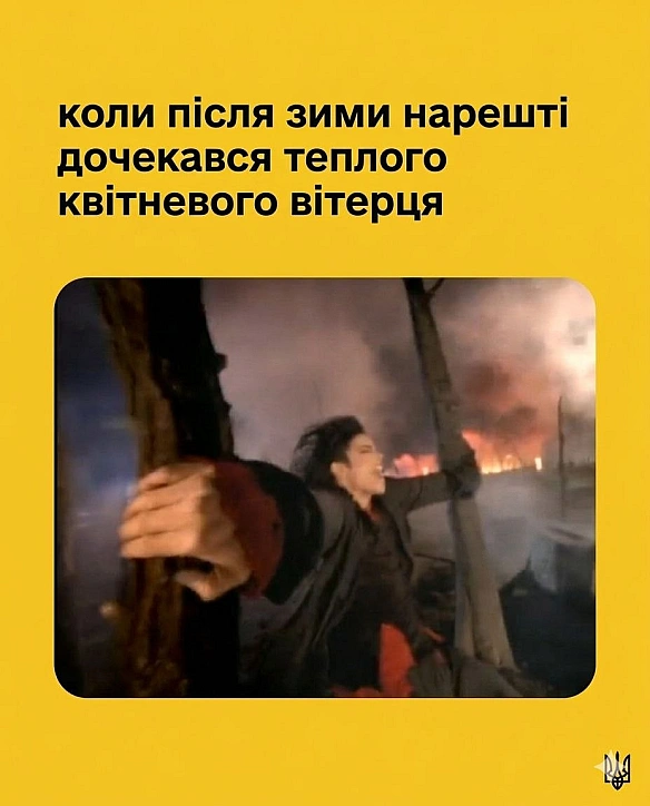 Тікошо собака повз вікно пролетіла )) - на we.ua