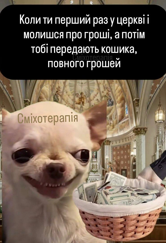 Баба і Кіт on we.ua