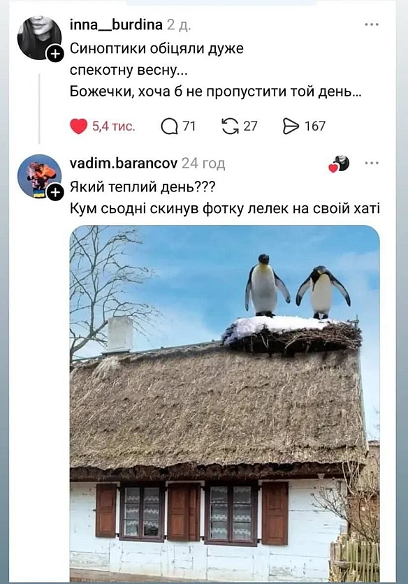 Баба і Кіт on we.ua