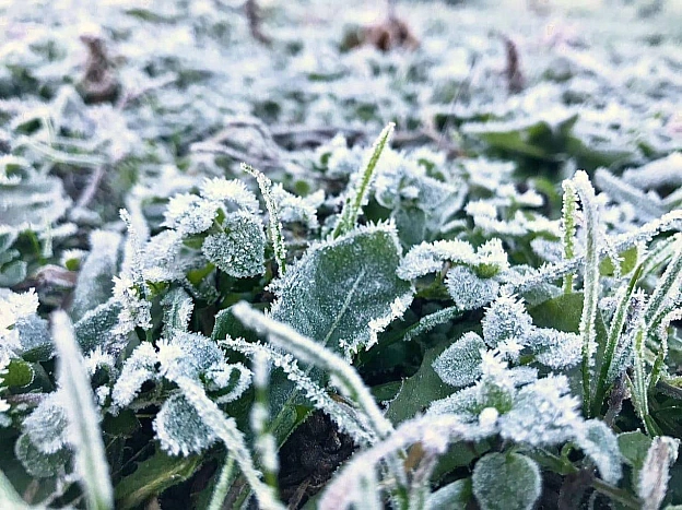❄️Уночі 28 квітня в Києві на поверхні ґрунту очікуються заморозки 0-2° – УкргідрометцентрІ рівень небезпечності, жовтий.🌥На ... - КМДА – офіційний канал on we.ua