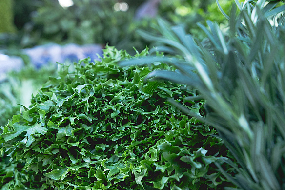 🛒У столиці з 29 квітня до 3 травня відбудуться продуктові сільськогосподарські ярмарки📍Локації – на сайті kyivcity.gov.ua.❕З... - КМДА – офіційний канал on we.ua