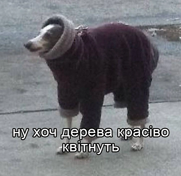 Доброго ранку!#хзчиймем@memargam - на we.ua