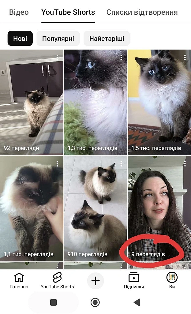 Заради експерименту виклала на своєму каналі кілька відео з директорами 😆 Ось кого люди насправді хочуть бачити!Підписуйтесь, ... - Давай займемось текстом on we.ua