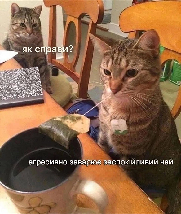 Доброго ранку!#хзчиймем@memargam - на we.ua