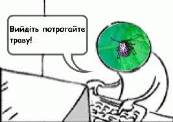 на we.ua