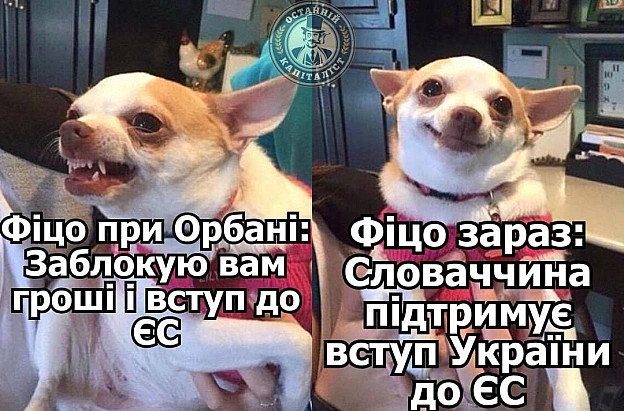 Словаччина підтримує членство України в ЄС та готова ділитися своїм досвідом вступу(c) @OstanniyCapitalist@memargam - МЕМАГРАМ на we.ua