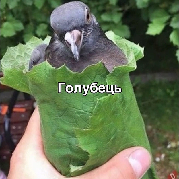 Смачного обіду, кошенята! - на we.ua