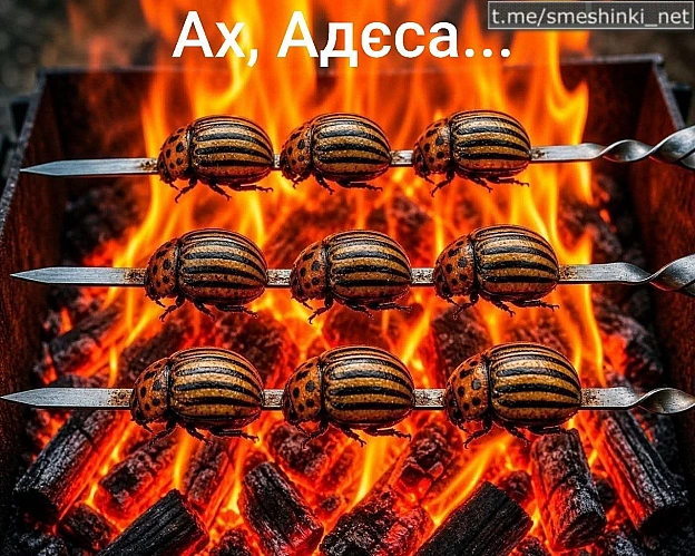 Переглянути нові  |  Надіслати своє - Воєнні Смішинки на we.ua