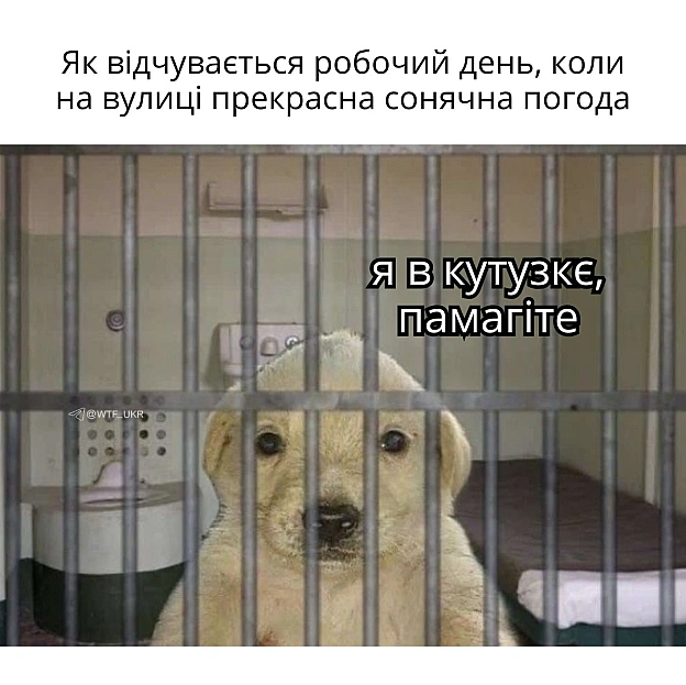 💀TG | X | FB | Instahttps://instagram.com/wtf_ukr/ - на we.ua