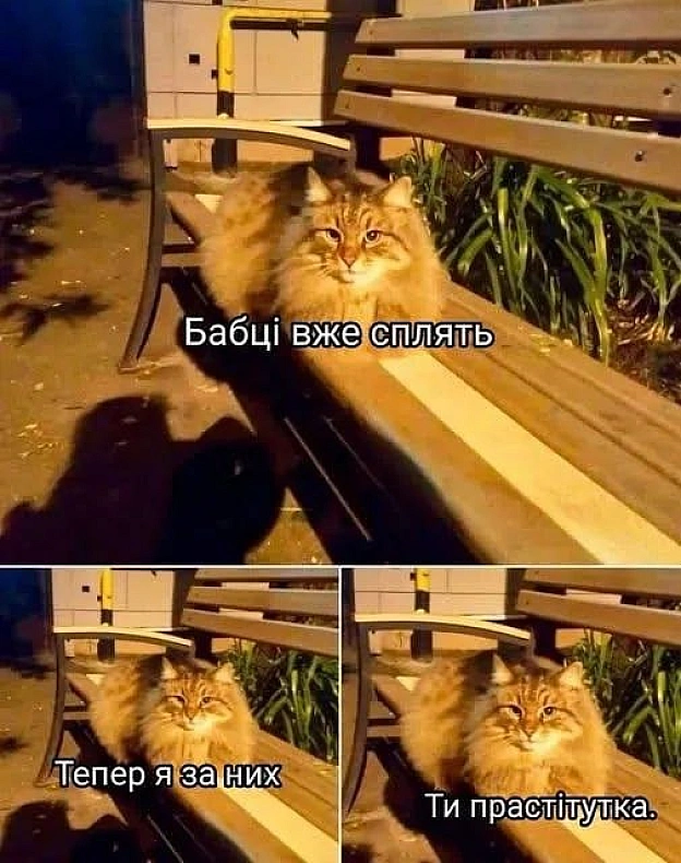 на we.ua