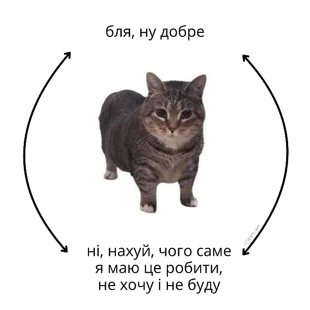 💀TG | X | FB | Instahttps://instagram.com/wtf_ukr/ - на we.ua