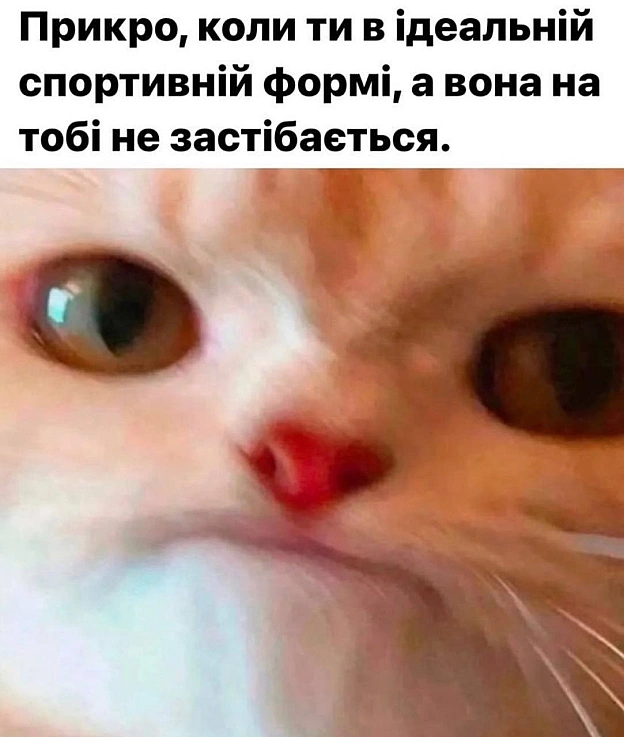 on we.ua